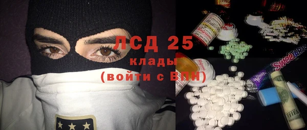 ГАЛЛЮЦИНОГЕННЫЕ ГРИБЫ Аркадак