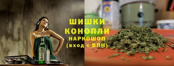 ГАЛЛЮЦИНОГЕННЫЕ ГРИБЫ Аркадак
