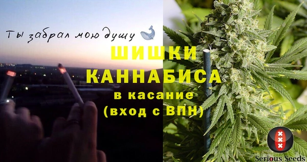 ГАЛЛЮЦИНОГЕННЫЕ ГРИБЫ Аркадак