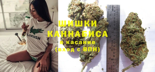 ГАЛЛЮЦИНОГЕННЫЕ ГРИБЫ Аркадак